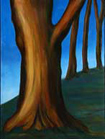 The Fort Mason Tree -- 48" x 36" -- oil on canvas