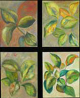 Seasons I, II, III, IV -- Each 16" x 20" -- oil on canvas
